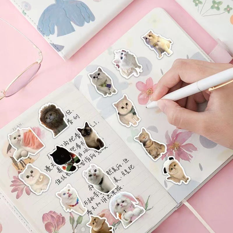 60 cute stickers ins wind trend cat emoji stickers simulated hand account stickers waterproof stickers