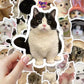 60 cute stickers ins wind trend cat emoji stickers simulated hand account stickers waterproof stickers
