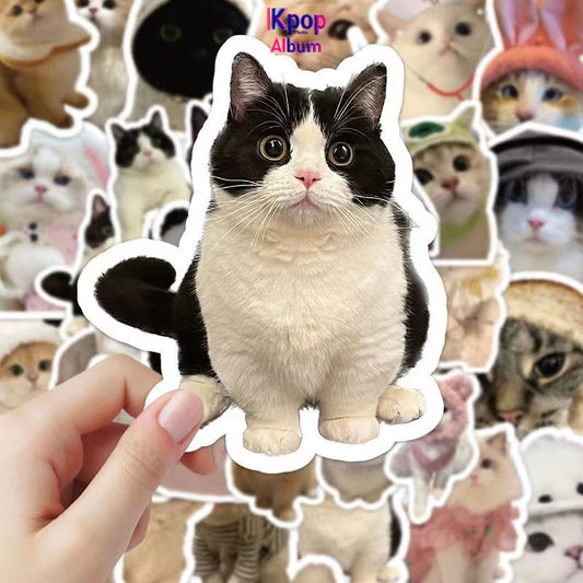 60 cute stickers ins wind trend cat emoji stickers simulated hand account stickers waterproof stickers